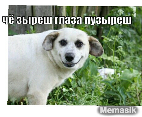 ЧВ 3Ь18Ш1ГП838 ПУЗЫПБШ