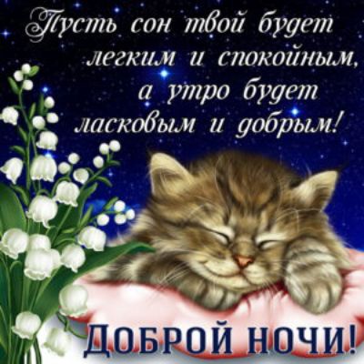 ейусть сон тбой брдет мегким и спокойным, а а утро будет   тпобы.и и уобрш . О'.ъ 7 9 ,  ;;