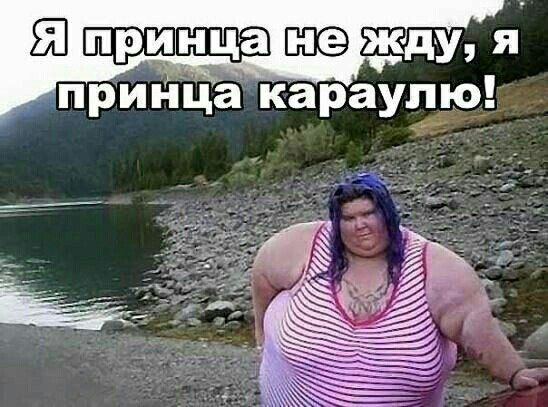 Ш жду я принца караупю