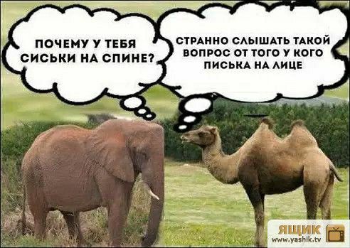 спите мышца кой о у и вопрос и юге 7 шага сиськи МА спины писни