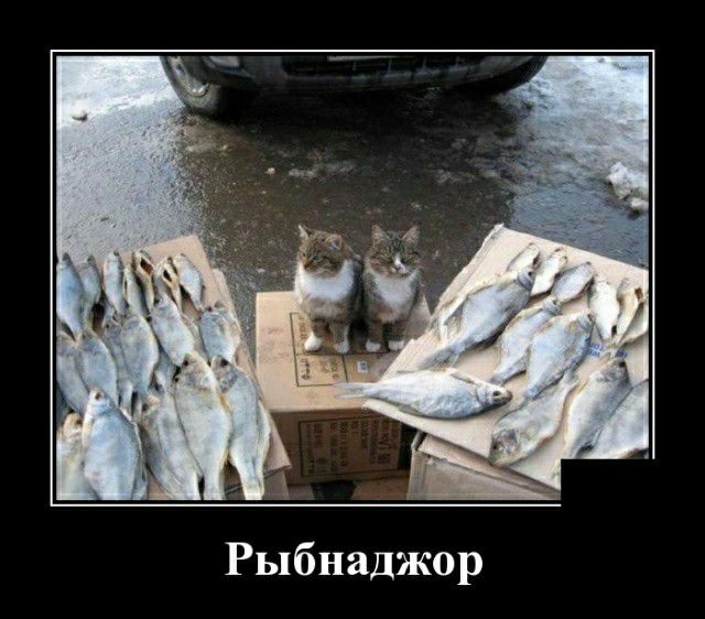 Рыбнаджор