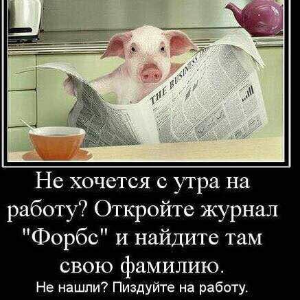 Не хочется с утра на работу Откройте журнал Форбс и найдите там свою фамилию Не нашли Пиздуйте на работу