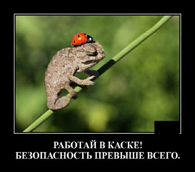 РАБОТАЙ в КАСКЕ БЕЗОПАСНОСТЬ прввышв всвго