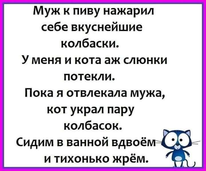 Муж к пиву нажарил себе вкуснейшие колбаски У меня и кота аж слюнки потекли Пока я отвлекала мужа кот украл пару колбасок Сидим в ванной вдвоё и тихонько жрём