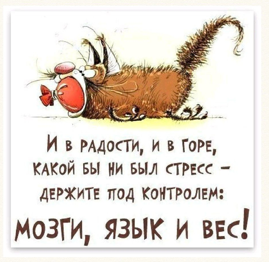 Посмотрите чем я поделился ась МШі И в идти и в горе шой вы ни выл стс ДЕРХИТЕ под КОНТРОЛЕМ Мозги язык и вес 4 и ц г