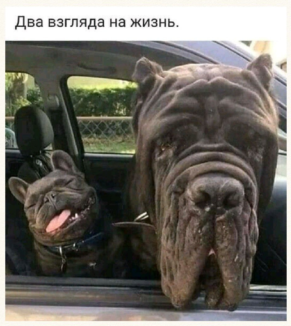 ПОСМОТрИТе чем Я подепипсяась МЮ Два взгляда на жизнь