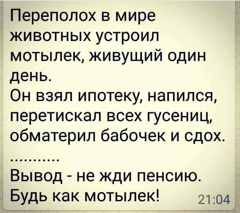 Ё Переполох в мире животных устроил мотылек живущий один день Он взял ипотеку напился перетискап всех гусениц обматерил бабочек и сдох 3 Вывод не жди пенсию Будь как мотылек кт___ г т