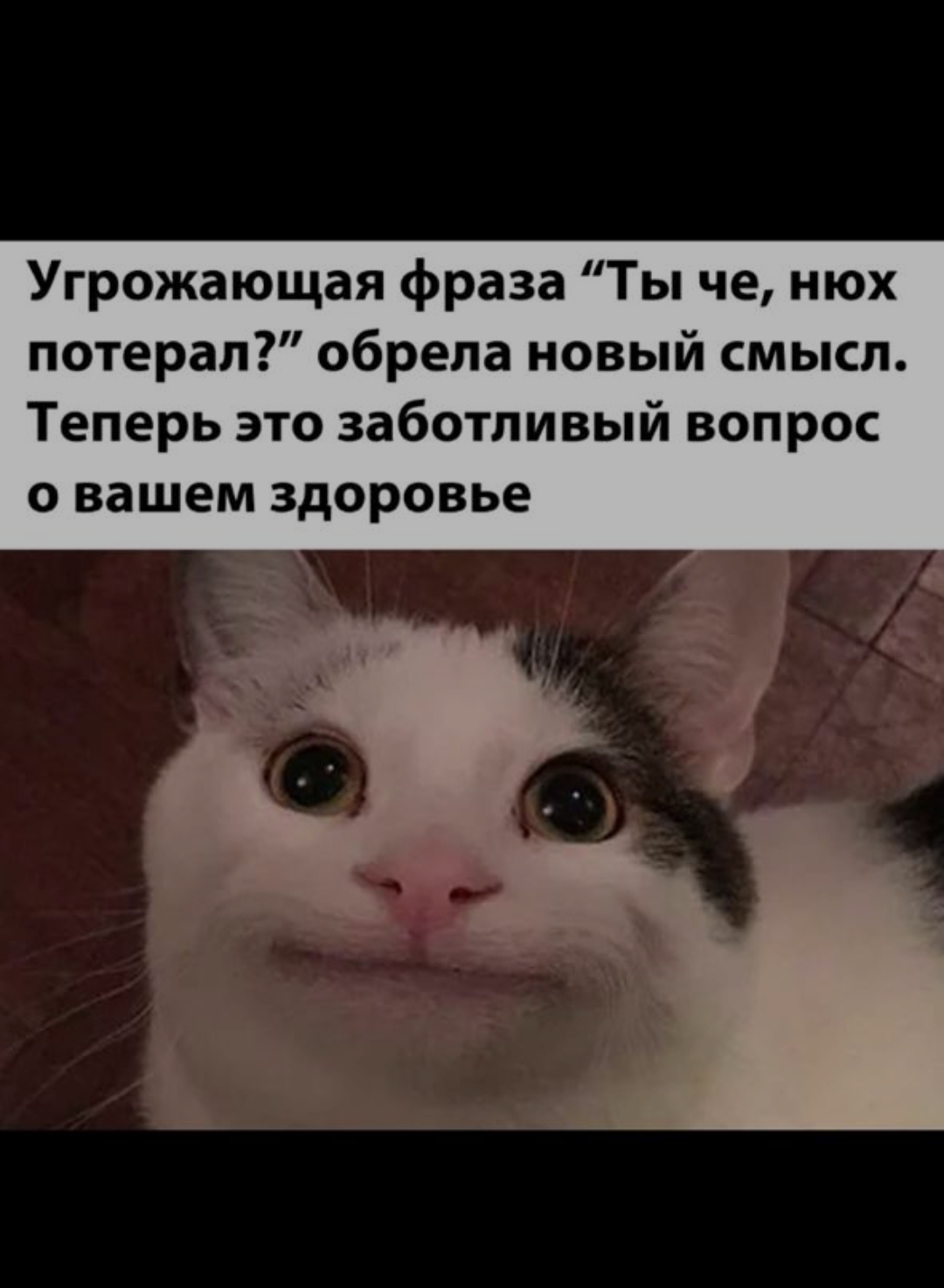 210Ъ В 28 сентября 2020 1207 Угрожающая фраза Ты че нюх потерал обрела новый смысл Теперь это заботливый вопрос о вашем здоровье