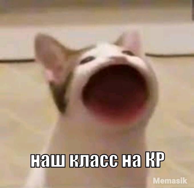 шаппп