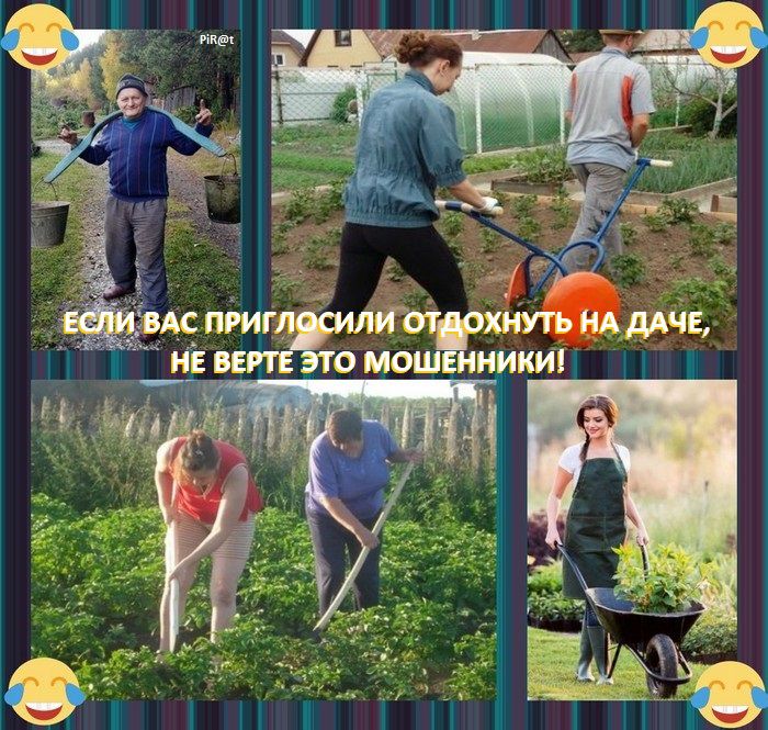 ХМУТЬ А ДАЧЕ МИК 1
