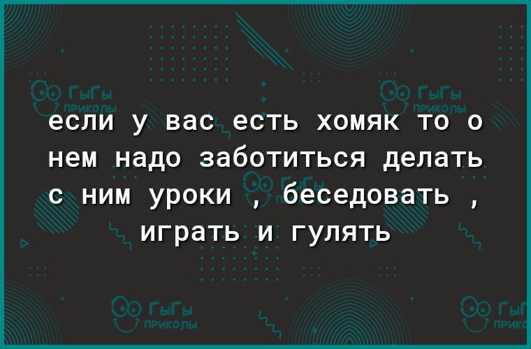 если У вас есть ХОМЯК Т0 О нем надо заботиться делать с ним уроки беседовать играть и гулять