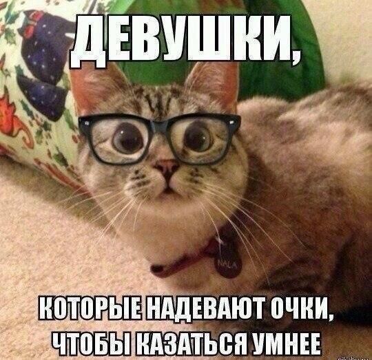 дшшии в которыиенадевают очки, учтобниназаться умнее,