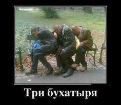 Три бухатыря