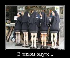 в тихом омуте