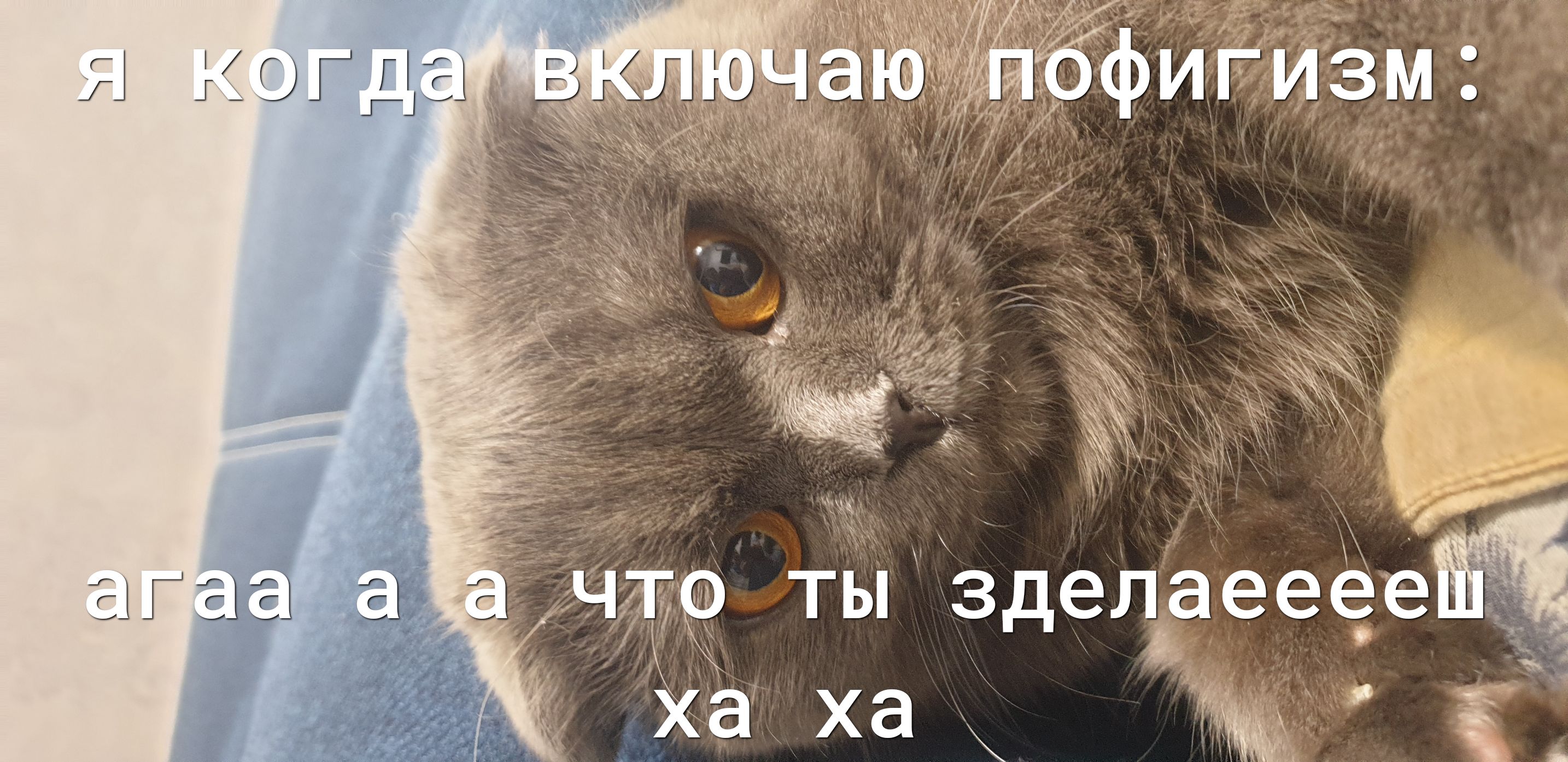 373 Здечдееёеы