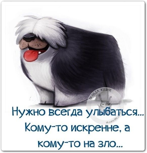 Нужно всегда улыбаться Кому то искренне а кому то на зло