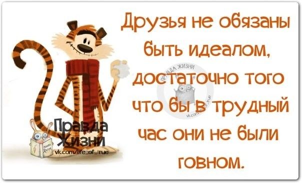 Друзья не обязаны _ быть идеалом доеідёщііочно того что ёёвдтрудный час они не были ГОВНОМ