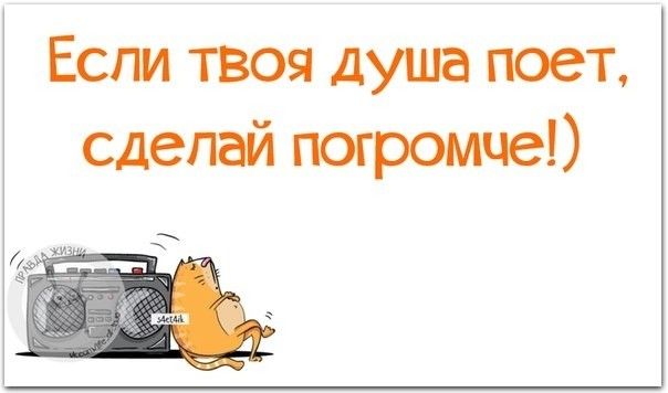 Если твоя душа поет сделай погромце