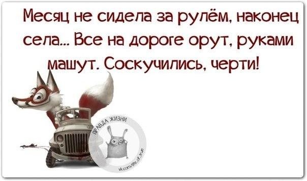 Месяц не сидела за рулём наконец села Все на дороге орут руками ашут Соскучипись черти
