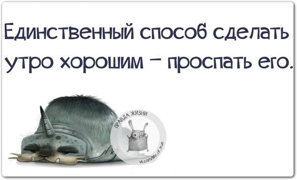 Единственный способ сделать утро хорошим проспать его