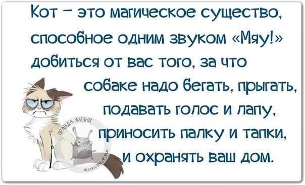 КОТ _ ЭТО магическое СУЩЭСТВО способное одним звуком Мяу добиться от вас того за что собаке надо бегать прыгать ЁЁ подавать голос и папу забщ ё ПРИНОСИТЬ папку И ТЭПКИ щи охранять ваш дом