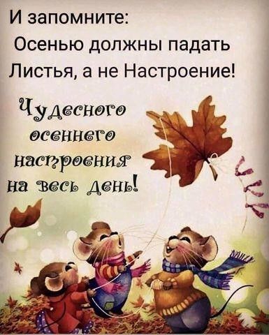 И запомните Осенью должны падать Листья а не Настроение Чудеснвгв вееннегв Наси рвения Я на тееь дены И