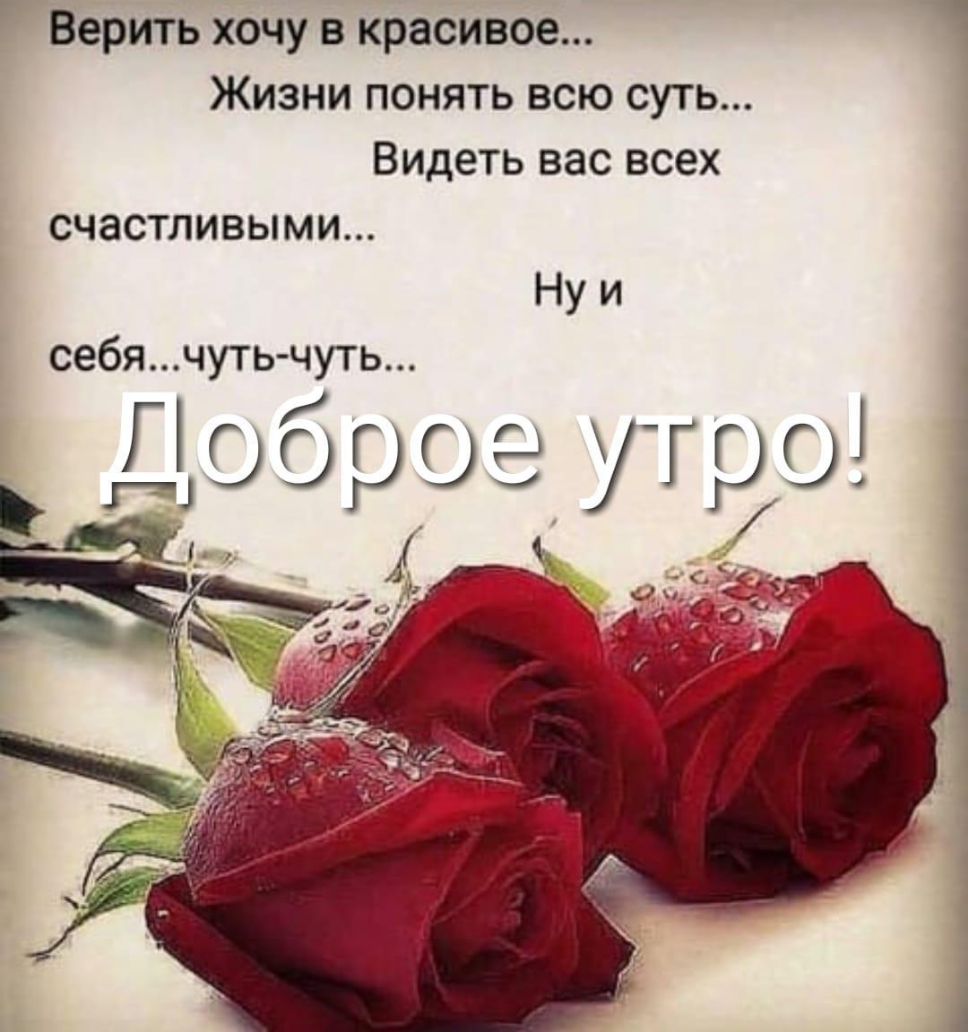 Верить хочу в красивое Жизни понять всю суть Видеть вас всех счастливыми Ну и себя чу ть чуть ГГ ГГГГСі 11 УГОГГ 7 к _ _