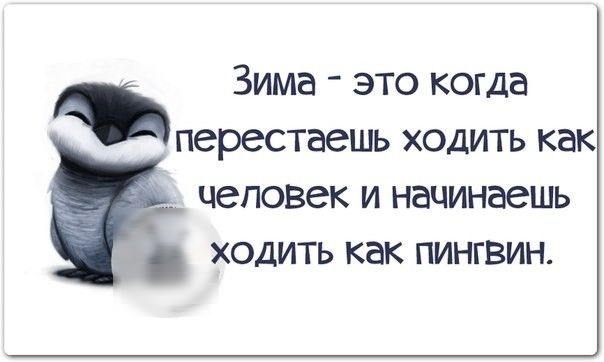 Зима это когда перестаешь ходить как человек И начинаешь ХОДИТЬ как ПИНГВИН