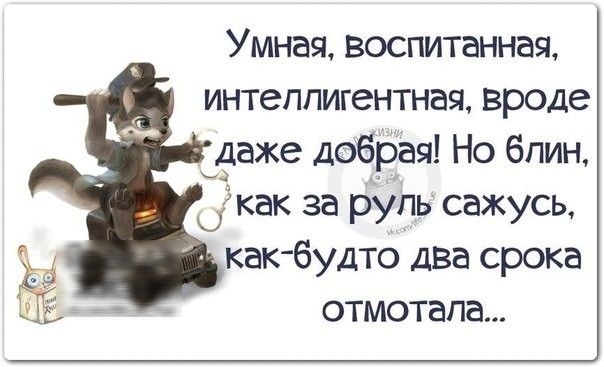 Умная воспитанная интеллигентная вроде даже добрая Но блин а как за руль сажусь какбудто два срока отмотапа