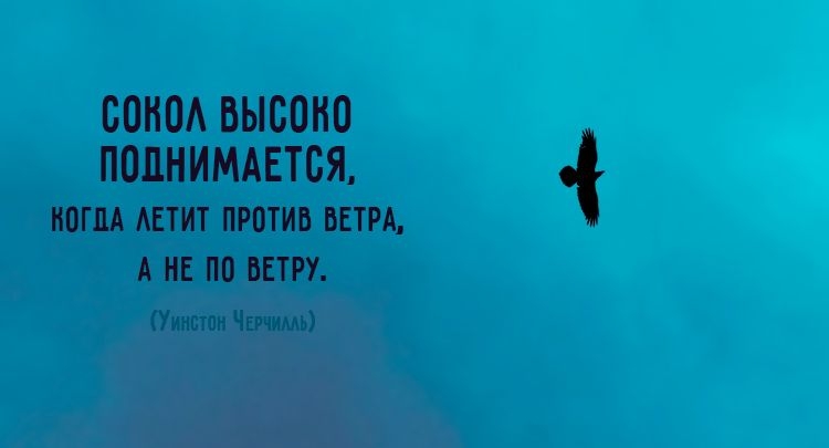 сонм шпона поднимется МШ Ш П 07