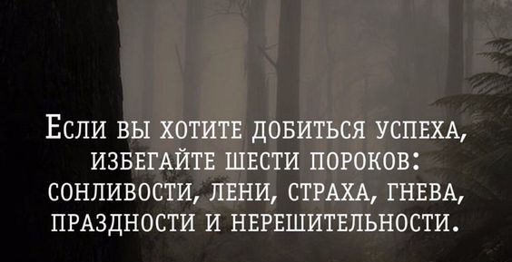 ЕСЛИ ВЫ ХОТИТЕ ДОБИТЬСЯ УСПЕХА ИЗБЕГАЙТЕ ШЕСТИ ПОРОКОВ СОНПИВОСТИ ЛЕНИ СТРАХА ГНЕВА ПРАЗДНОСТИ И НЕРЕШИТЕЛЬНОСТИ