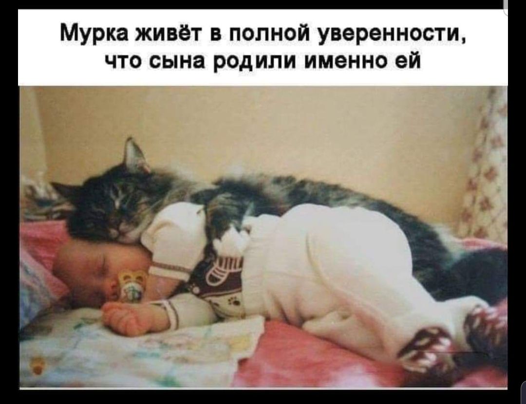 Мурка живёт в полной уверенности что сына родили именно ей