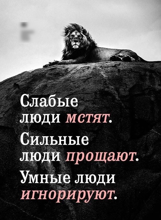 Слабые люди мстят Сильные люди прощают Умные люди игнорируют