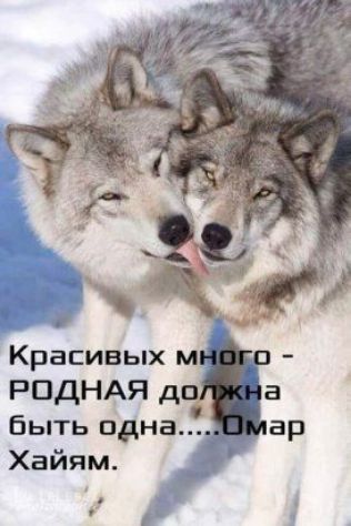 быть одна Хайям
