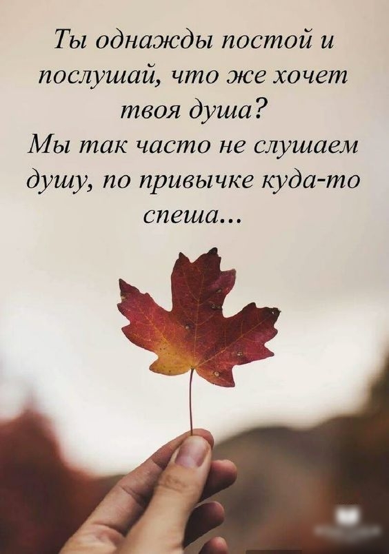 Т ы однажды постой и послушай что же хочет твоя душа Мы так часто не слушаем душу по привычке куда то спеша