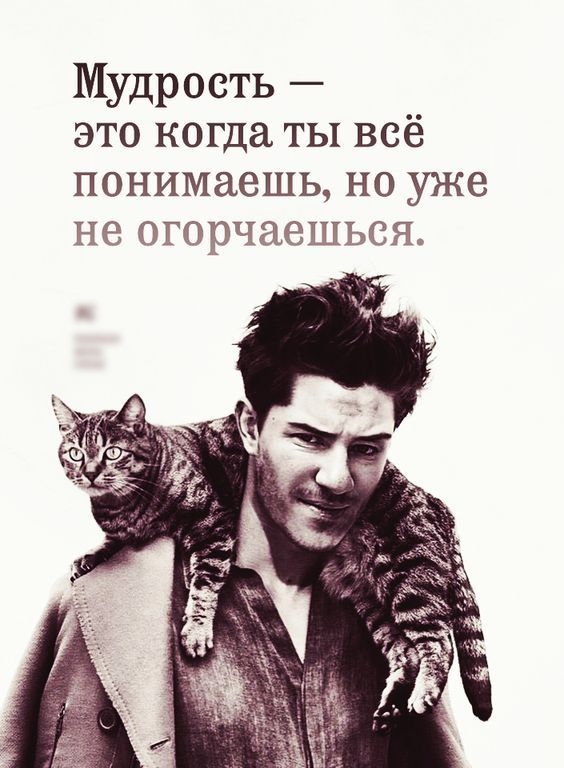 Мудрость это когда ты всё понимаешь но уже не огорчаешьса