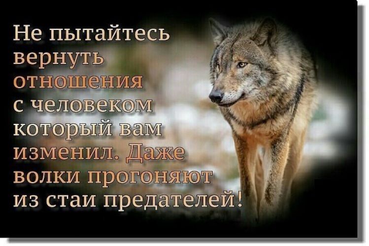 Не пытайтесь