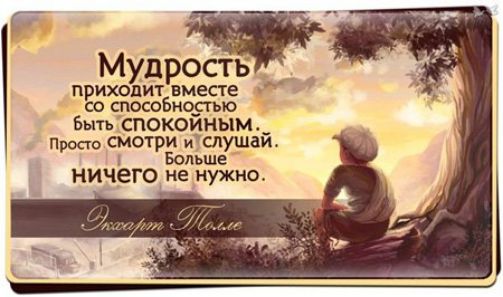 Т _ _ Мудрость приходит вмепе со способностью Бьпь СПОКОЙНЫМ Просто смотри и слушай Больше ничего не нужно