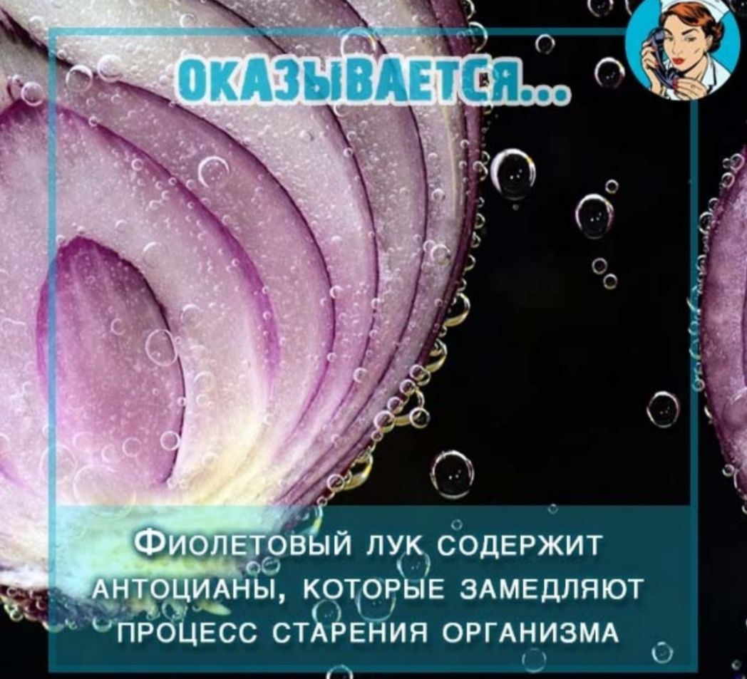 СОДЕРЖИТ ЁЁ Е ЗАМЕДЛЯЮТ ИЯ ОРГАНИЗМА 0