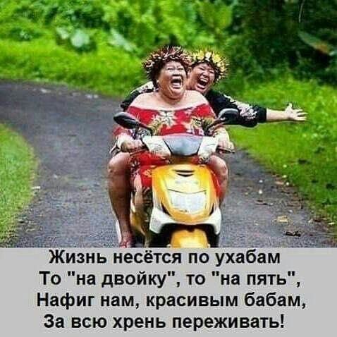 Жизнь несёуся по ухабам То на двойку то на пять Нафиг нам красивым бабам За всю хрень переживать
