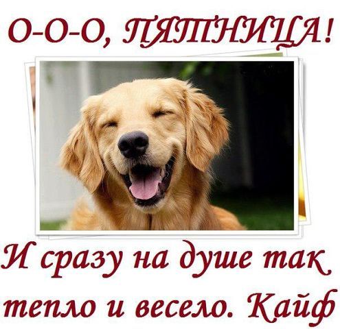 7 дм Ц И сразу на душе так тетю и весело Кайф