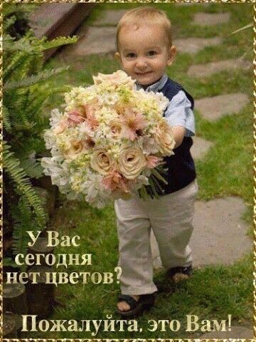 нет цветов і і і сегодня Ё Эд Пожалуйта 310