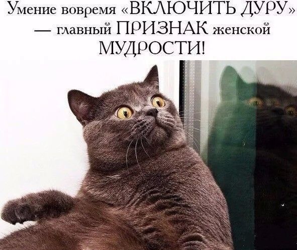 Умение вовремя ВКЮЧИТЬ ДУРУ главный ПРИЗНАК женской МУДРОСТИ