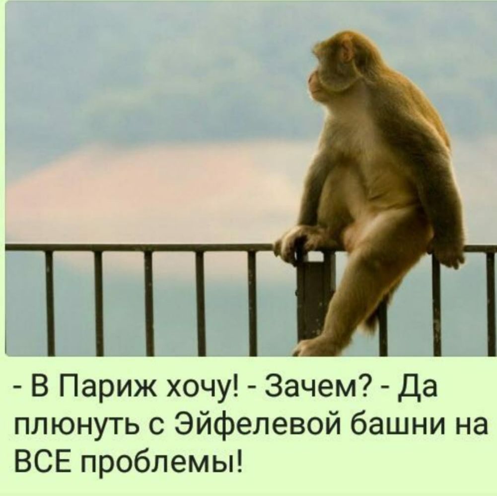 В Париж <b>хочу</b> <b>Зачем</b> Да плюнуть с Эйфелевой башни на ВСЕ проблемы.