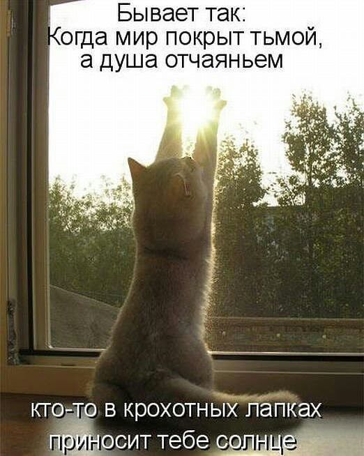 Бывает так огда мир покрыт тьмой а душа отчаяньем КТОч В КРОХОТНЫХ ПЭПКЭХ осит тебе