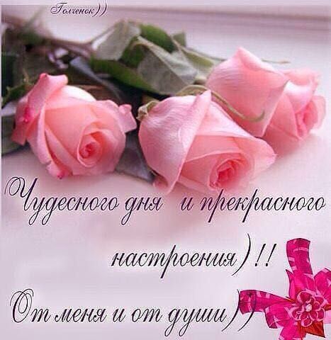 ёмииужд и мштфаеішоъ т 60 Одиі 7