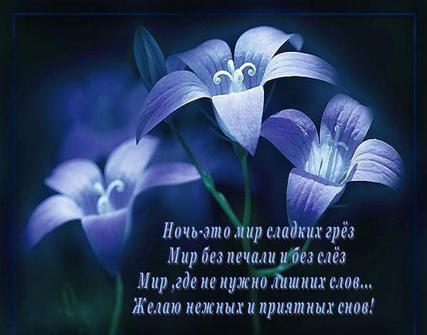 Ночь это лир сладких грёз Мир без печали ибез с гёз Мир где не нужно тгшпих г Желаю нежных и приятных 01108