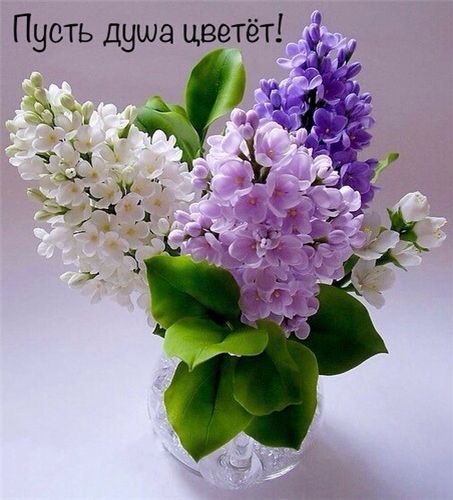 Пусть душа цветёт