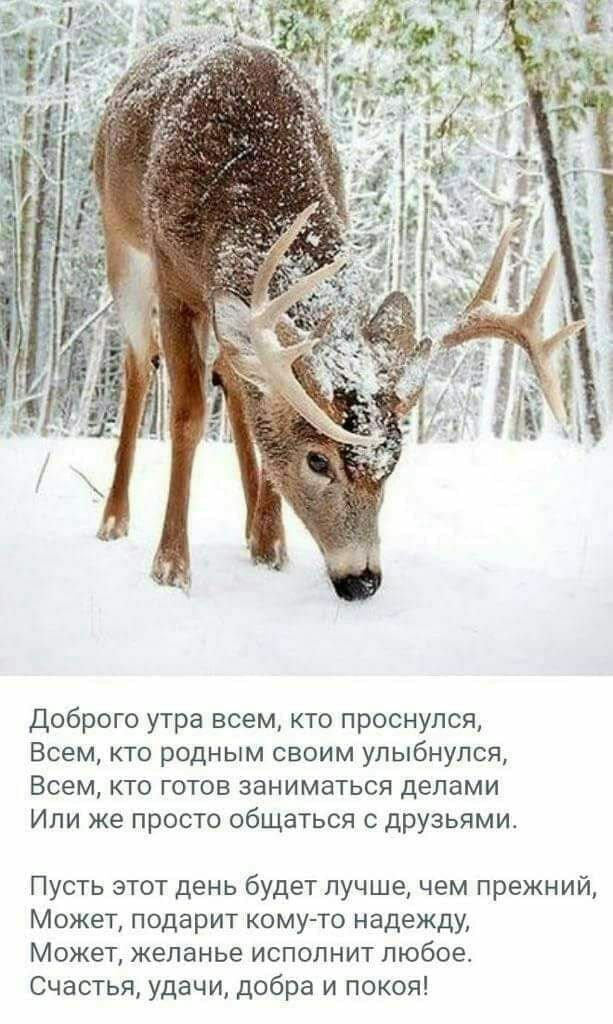 Доброго утра всем кто проснулся Всем кто родным своим улыбнулся Всем кто готов заниматься делами Или же просто общаться с друзьями Пусть этот день будет лучшечем прежний Может подарит кому то надежду Может желанье исполнит любое Счастья удачи добра и покоя