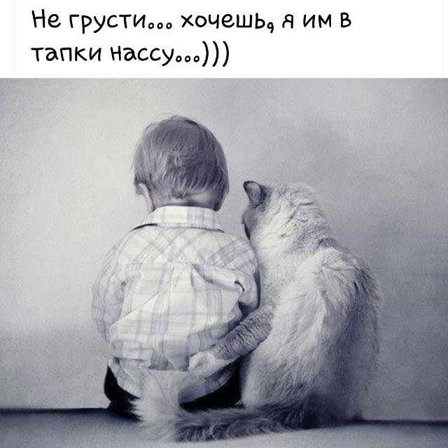 Не грусти хочешь я им в тапки НЭССУооа
